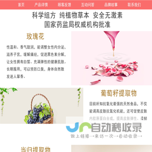 王子怡个人作品展示